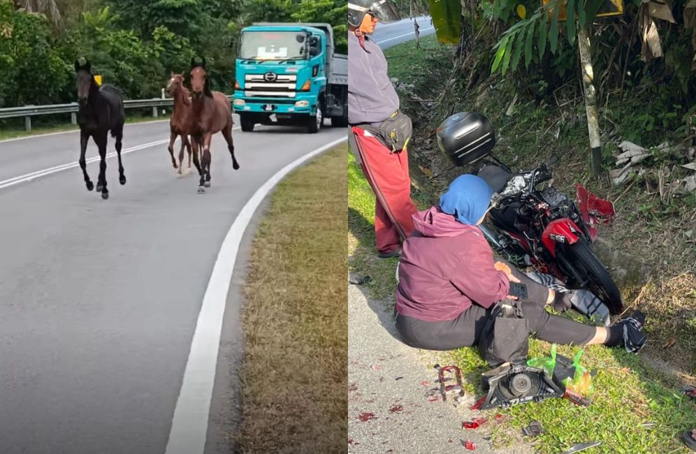 Wanita kemalangan terlanggar kuda berkeliaran di tepi jalan