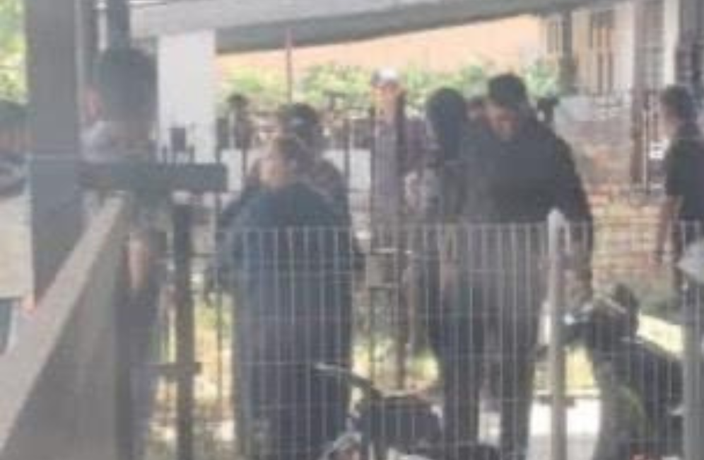 Rangka bayi ditemui di laman rumah